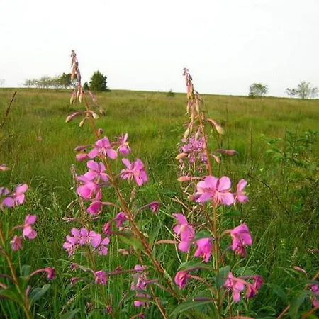With Valley Views, * Malmedy