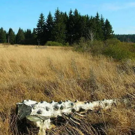 With Valley Views, Malmedy