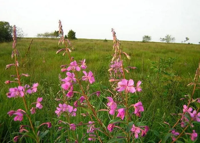 With Valley Views, * Malmedy