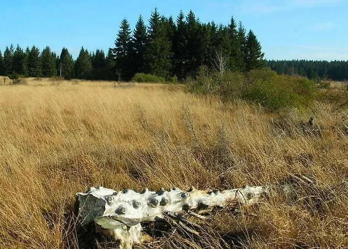 With Valley Views, Malmedy