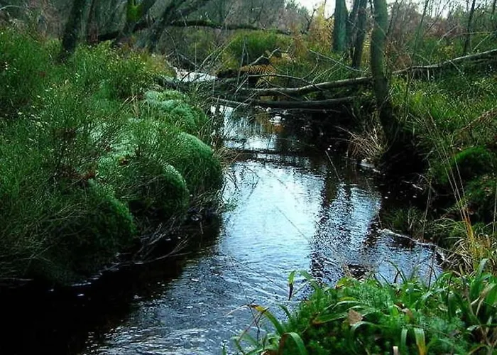 With Valley Views, Σαλέ Malmedy